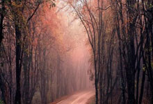 第七届东亚峰会清洁能源论坛4日在福建省福州市举办 中国面向东盟的海上风电实证合作正式启动