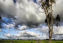 国内风电需求基本盘稳固 出海从产品出口转为深度属地化布局