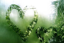 赛伍技术非光伏业务增长迅猛，多元化战略成效显著