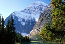 风电行业从规模扩张转向价值提升