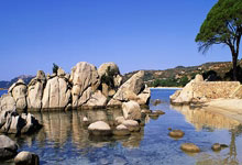 开源证券：风电产业链整体盈利水平有望改善